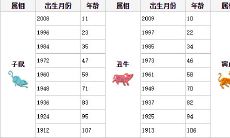 62岁属什么的属相是什么（属猪的配什么属相最合适）