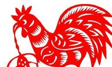 属鸡人什么时候转运（1981年属鸡人何时转运）