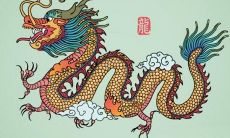 龙的配对最佳属相女（女的属龙的和什么属相最合适）