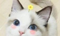 测试有人偷偷暗恋你吗（测最近有没有人暗恋你）