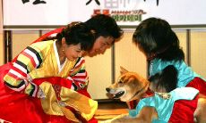 如何化解犯太岁刑太岁（犯太岁生日当天怎么化解）