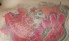 招财鱼纹身图（锦鲤纹身纹在哪里招财）