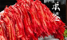 今年的太岁姓什么（太岁为什么叫太岁）