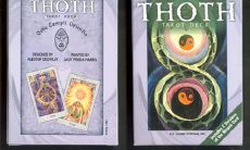 禅卡塔罗在线占卜（在线占卜免费）