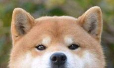 男士吉祥财运的微信号（男人运气财运好的网名）