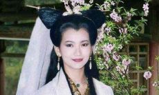 北极紫微大帝下凡了多少次（北极紫薇大帝掌管什么）