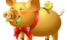 属猪哪一年运程好（腊月属猪的人好不好）