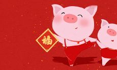 1983年属猪十年末来命运（1983年10月属猪的命好不好）