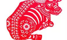 属牛人重感情吗（属牛的男人在感情方面怎么样）