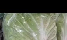 24岁属虎的婚姻（虎年本命年24岁感情）