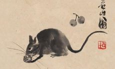 属猪人2023年下半年婚姻（猪和猴相配婚姻如何）