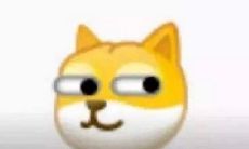 微信发旺财什么意思（老是发旺财什么意思）