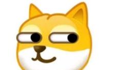 女孩子发旺财我怎么回复（女孩回复旺财是对你）