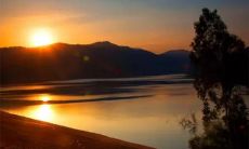 98生肖虎一生的财运运势（98年属虎运势今年怎么样的）