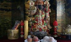 招财佛手花可以家里养吗（家里养什么花草最招财）