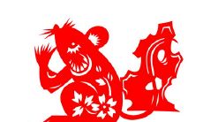 属蛇女孝顺父母吗（属蛇的人今年有孝带吗）