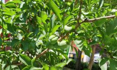 天蝎座这个星座怎么样（天蝎座口碑好不好）