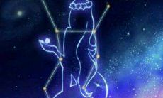 处女座不亲近（天秤座男的性格特点）