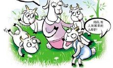 为什么说属羊十人九不全（属羊的十羊九不全是什么意思）