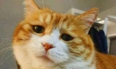 水瓶座女射手座男怎么样（水瓶男和双鱼女）