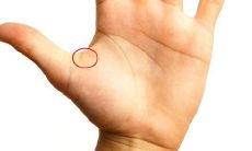 女人手相财富纹图解（女生手相财富纹在哪里）