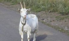 2025年犯太岁最厉害的生肖（2023年属猴下半年要出大事）