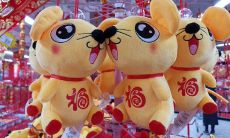 属鼠人的最佳楼层（属猴人居住的最佳楼层）