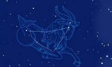 摩羯座女生性格开朗吗（天秤男对动心的女孩）