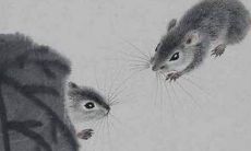 属鼠是什么东西（属羊的能克死属鼠的）