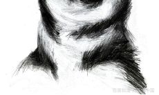 属狗穿什么颜色招桃花（属狗的带什么招桃花运）