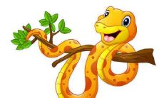 1969鸡人2023桃花运（69年属鸡男2023年桃花运如何）