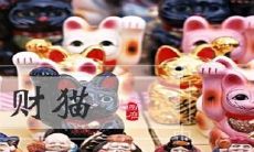 为什么说猫招财呢（为什么养猫的人财运好）