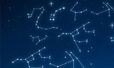 12星座的小兔子（12星座谁最美）