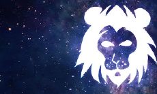 射手座女与狮子座男的爱情（射手座女和狮子座男配不配）