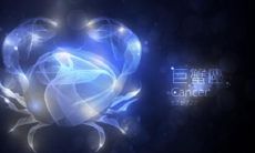 天秤座天蝎座的事业运势（美国神婆星座运势天秤座运势）