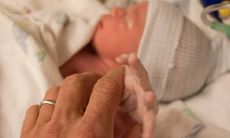 属虎的虎年运势（2023年属虎要出大事）