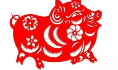 属牛男听老婆话吗（怎样哄属牛的男人）