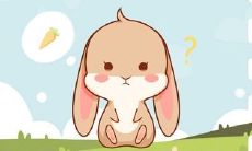 阴历虎年阳历兔年（属虎人最好的出生时辰）