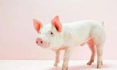 属蛇的男人抠门吗（属蛇的男人花心吗）