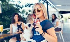 和牛相冲相克是什么生肖（属牛与什么属相相克）