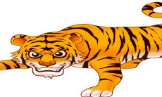 为什么说属虎人33岁最苦（属虎几月命苦）