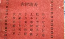 鸿字取名禁忌（源字取名寓意及含义）