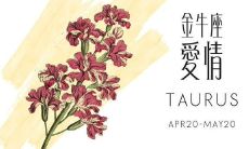 金牛座2023年8月份感情复合运势（金牛座女生今天的运气）