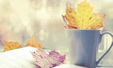 属鸡几时辰出生最好（属鸡出生的四个最佳时辰）