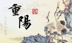 重阳节干什么（宸的五行属性是什么）