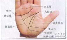 感情线坎坷的手相图解（女生手相图解大全）