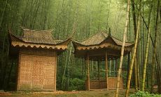 九宫八宅风水定位（风水九宫图住宅布局）