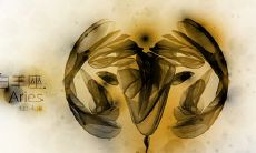 白羊座可爱萌图（白羊座二次元萌图）