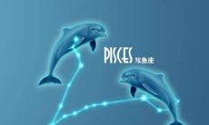 双鱼座男的最大特点是什么（双鱼座男生性格特点优缺点）