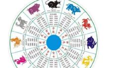 合婚子酉相破代表什么（八字合婚看什么）